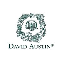 David Austin Roses coupons